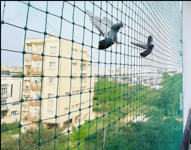 Pigeon Nets - Anti-Bird Netting
